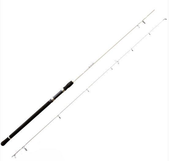 Nomura Kanjı 300cm 130g